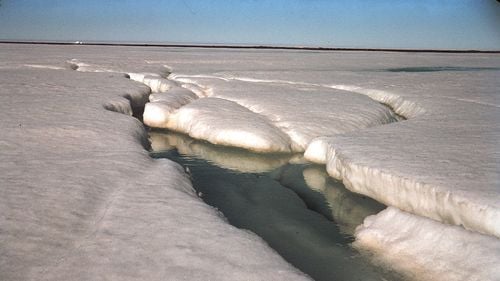 Banchiza Antarcticii se află la cel mai scăzut nivel din toate timpurile, de la începutul măsurătorilor