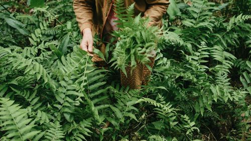 China, care deține deja monopol mondial pe pământuri rare, anunță că a descoperit minerale de mare valoare până și în plante