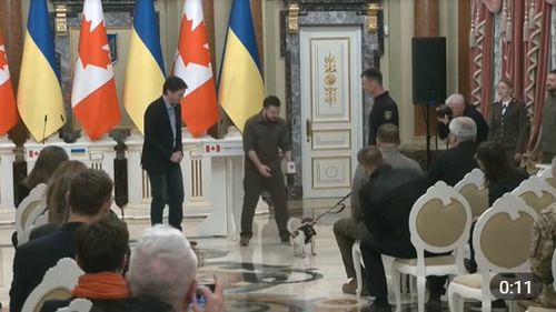 VIDEO Zelenski l-a decorat pe câinele-legendă Patron, ca pirotehnist ucrainean, în prezența premierului canadian Justin Trudeau