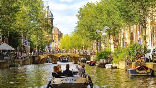 Amsterdam interzice reclamele la carne și combustibili fosili. Măsura face parte din strategia climatică a orașului
