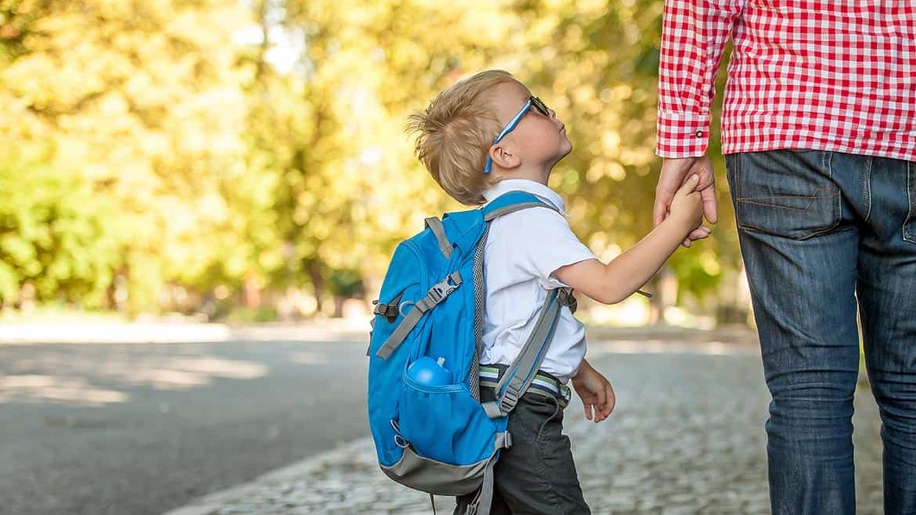 Ministrul Educației: Elevii din clasele primare și gimnaziu, care au ”abateri de la program”, vor sta mai mult la școală din semestrul 2