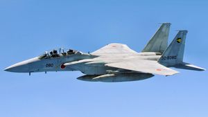 „Meduza morții:” ce se știe despre roiul de drone care ar fi doborât un F-15 al SUA în Iran