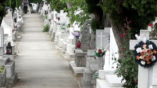 Mai multe orașe din România vor să interzică coroanele de plastic la înmormântări. Care sunt motivele