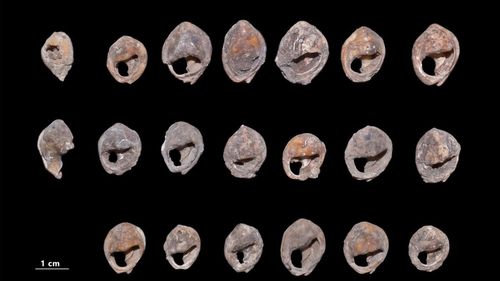 Arheologii au descoperit în Maroc cea mai veche bijuterie din lume, cu o vechime de până la 150.000 de ani