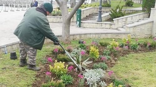 Taxa pentru întreținerea spațiilor verzi propusă de Primăria Constanța a picat la votul Consiliului Local