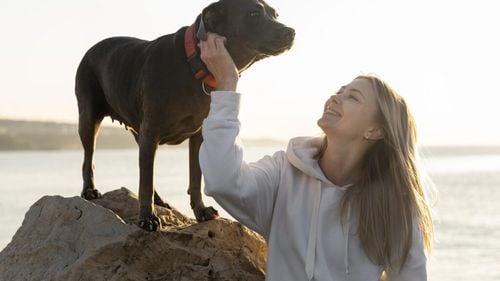 Când și cum au devenit câinii „cei mai buni prieteni ai omului”? Știința are acum răspunsul