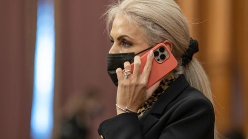 Din arestul poliției, în arest la domiciliu. Instanța i-a înlocuit măsura preventivă interlopului care îi spunea actualei șefe a Comisiei juridice a Camerei Deputaților, Laura Vicol: ”Băi, fato?! Tu vorbești acuma când vreau io, nu când vrei tu!”