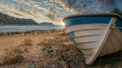 Un pescar din Australia a fost ucis de un peşte uriaș care i-a sărit în barcă