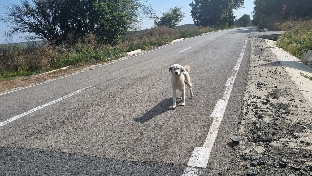 Peste 200 de milioane de lei, pentru noi proiecte finanţate prin Programul „Anghel Saligny” în 12 judeţe