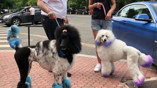 Pauza de relaxare. Instantaneul zilei din București