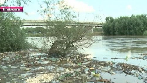 O criză ecologică ameninţă Serbia: Apele Timişului au adus tone de gunoaie din România/ Locuitorii din Voivodina sunt furioşi pentru că se repetă scenariul din 2014