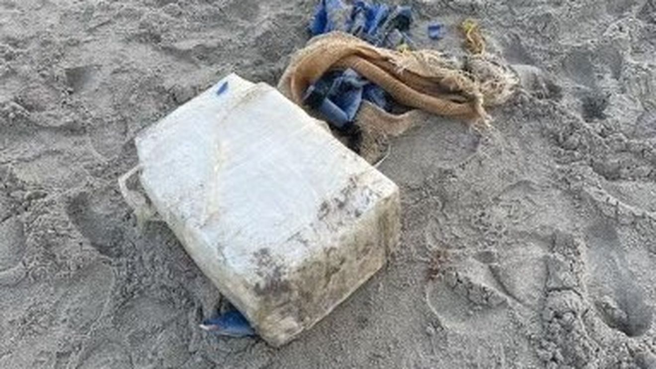 Rechinii din largul coastelor Braziliei au fost testaţi pozitiv la cocaină