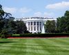 Donald Trump transformă Casa Albă într-o arenă de luptă: Competiție de MMA la împlinirea vârstei de 80 de ani