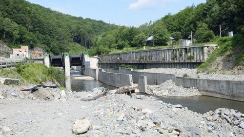 Ministerul Energiei anunţă că amenajarea hidroenergetică Livezeni-Bumbeşti a primit acordul de mediu: Unii au căutat cu disperare pretexte să oprească acest proiect strategic, inclusiv un rac pe care, aparent, nu l-a văzut nimeni niciodată / Biologul Călin Dejeu: Racul de ponoare a fost găsit și este un fapt certificat științific