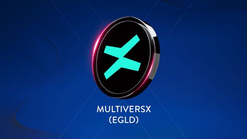 MultiversX anunță ”proces controlat de restructurare” / Criptomoneda românească a ajuns să valoreze 5,8 dolari / Vârful a fost în 2021, când valora peste 400 de dolari