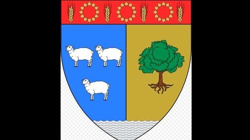 Teleorman, în top la un singur indicator la referendum: votul cu urnele mobile