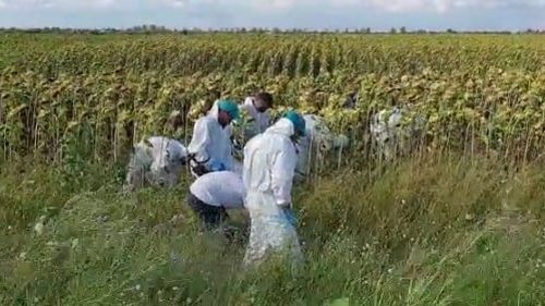 Un bebeluş a fost găsit mort pe un câmp din Bacău / Era învelit în haine şi pus în câteva pungi / Poliţiştii şi procurorii fac verificări