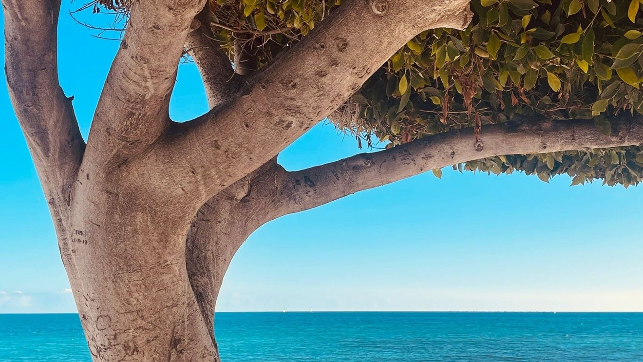 Cele mai frumoase 34 de insule grecești de vizitat în 2025