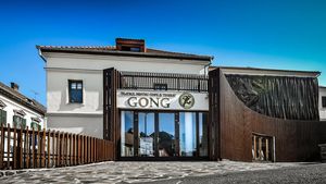 Intrare gratuită la Teatrul „Gong” din Sibiu pentru părinţii vaccinaţi anti-Covid