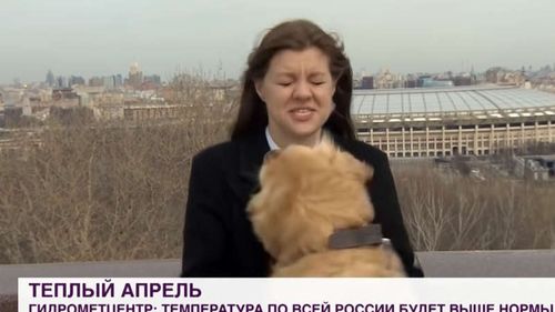 VIDEO Un câine a înhățat microfonul unei jurnaliste TV din Rusia. Înregistrarea a devenit virală