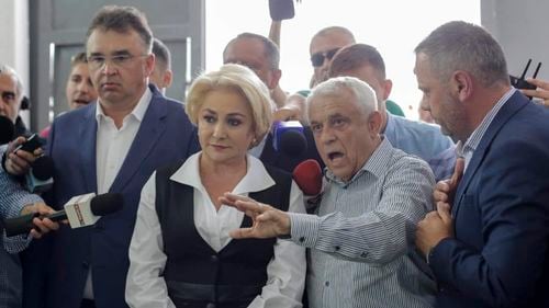 Dragnea îl ceartă pe Daea pentru comparația dintre incinerarea porcilor și Auschwitz: Îi atrag atenția asupra modului în care se exprimă