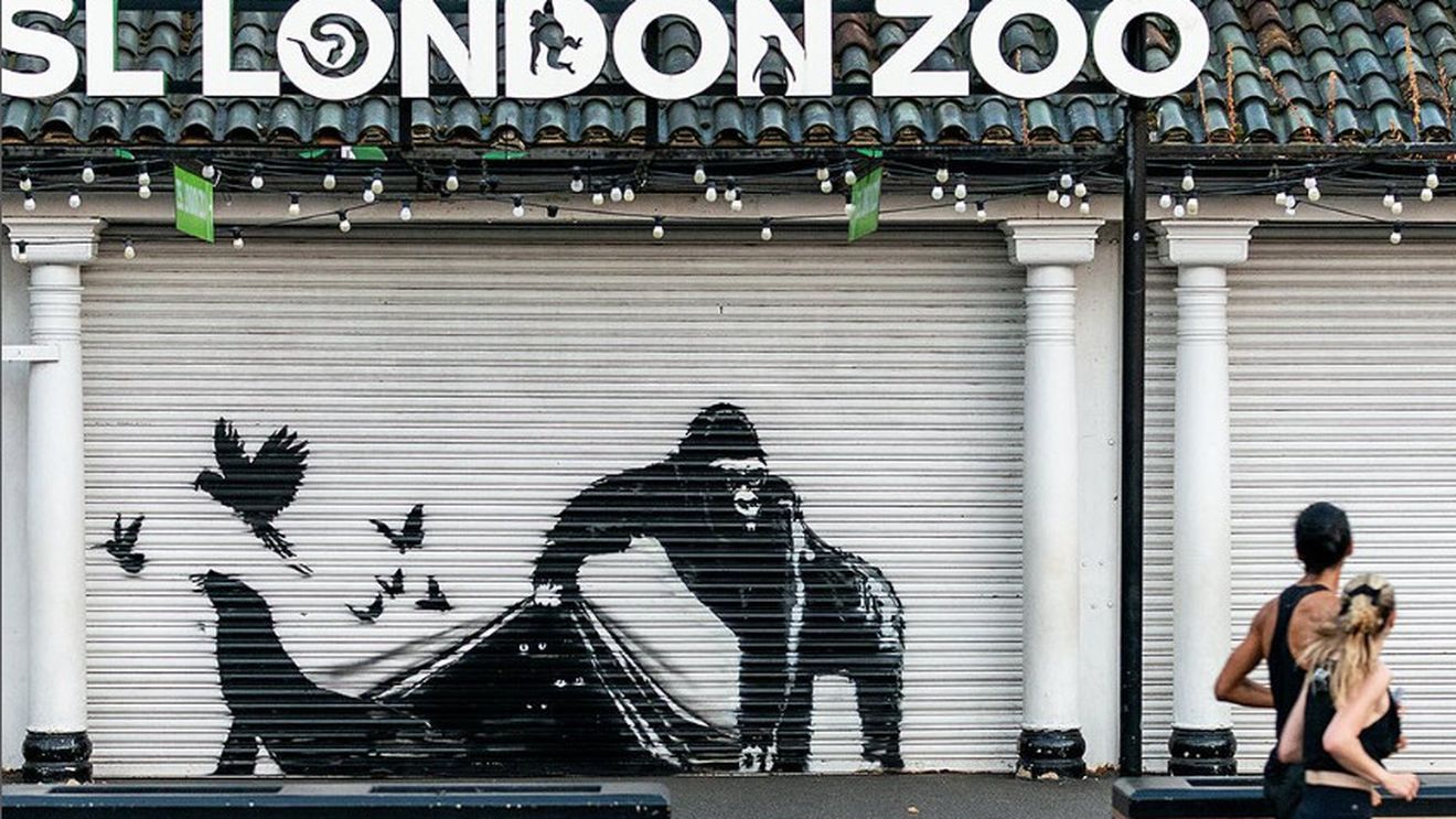 Ultima operă de artă din seria de animale Banksy a fost eliminată de Grădina Zoologică din Londra