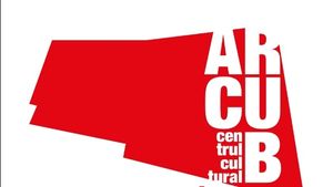Contracte de 5,2 milioane lei, atribute direct de Arcub, fără licitații