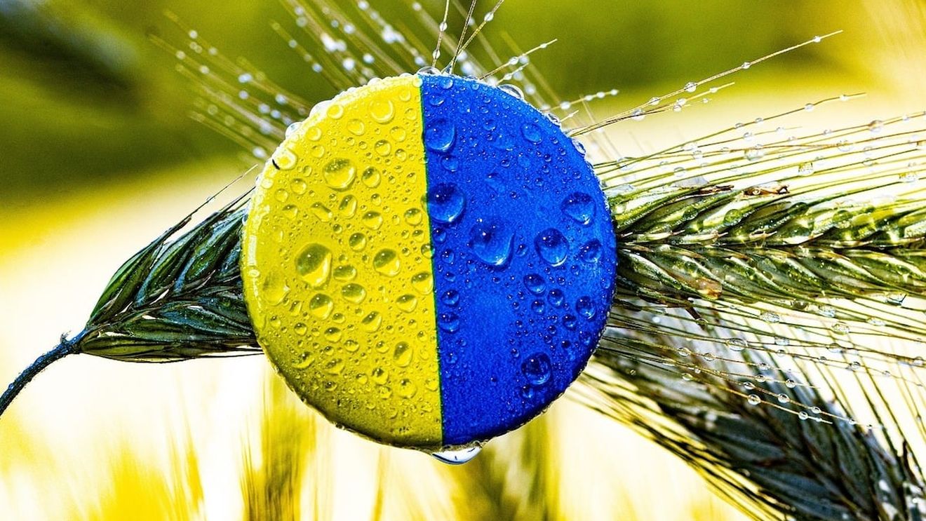 Ministerul de Externe, despre importurile de produse alimentare din Ucraina: ”Urmăreşte protejarea şi sprijinirea corespunzătoare a agricultorilor şi producătorilor români simultan cu continuarea sprijinului pentru Ucraina”