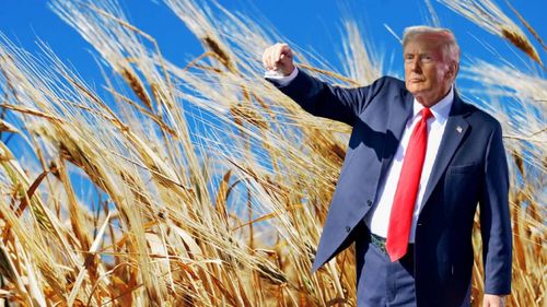 ANALIZĂ | Piața mondială a cerealelor, zguduită de noile tarife impuse de Donald Trump / Impactul asupra pieței europene