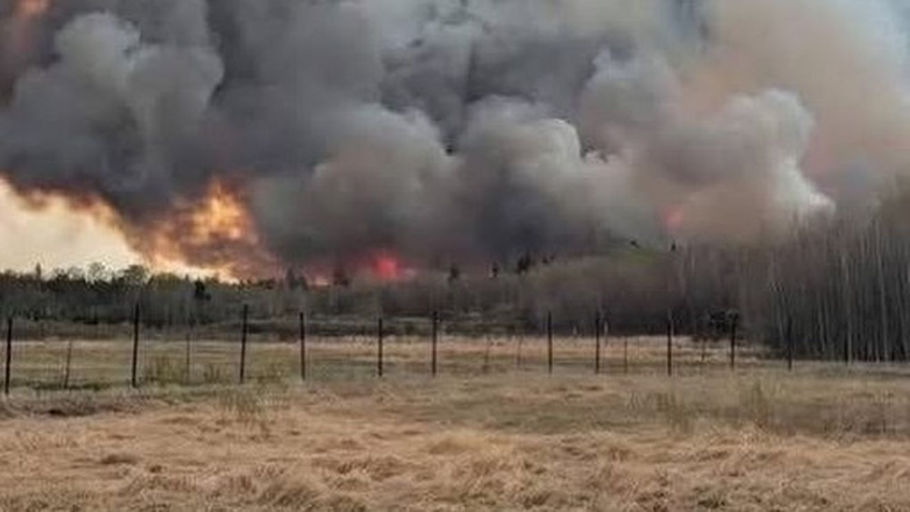 Trafic restricţionat pe DN1B, în zona Bucov, din cauza unui incendiu de vegetaţie