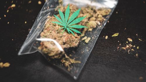 Fondatorul Leaf and Bud din Detroit, un antreprenor specializat în canabis, numit de către Trump emisar special în Irak