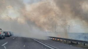 UPDATE Circulația trenurilor pe magistrala București-Constanța și traficul rutier pe A2 pe sensul spre Capitală au fost oprite din cauza unui incendiu de vegetație / Focul a fost stins, trenurile încep să-și reia cursele / 11 trenuri cu întârzieri totale de 1400 de minute