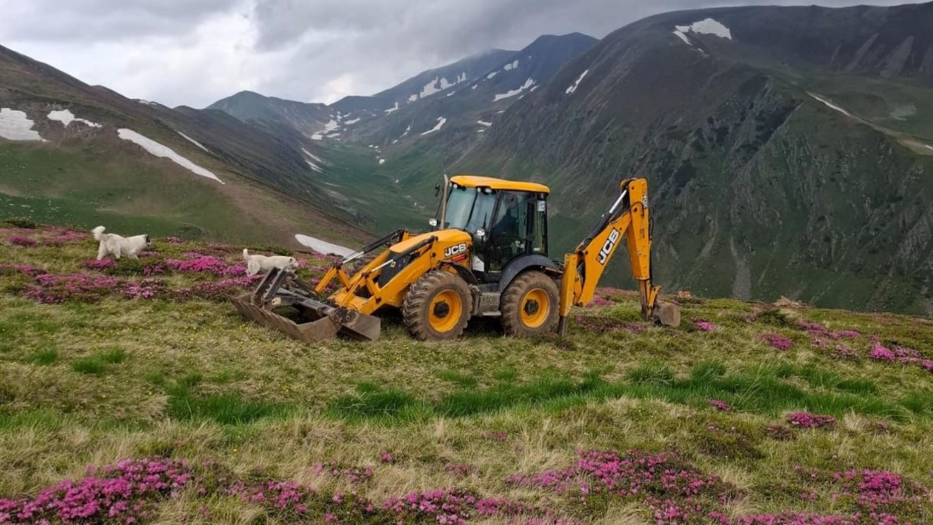 Lucrări pentru amenajarea abuzivă a unui drum în golul alpin, în Argeș / Habitatul şi flora au fost distruse pe 2.000 mp
