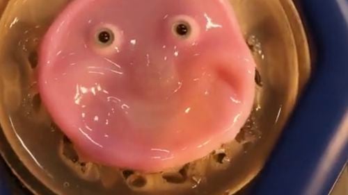 Cercetătorii japonezi creează o piele vie care le permite roboților să zâmbească