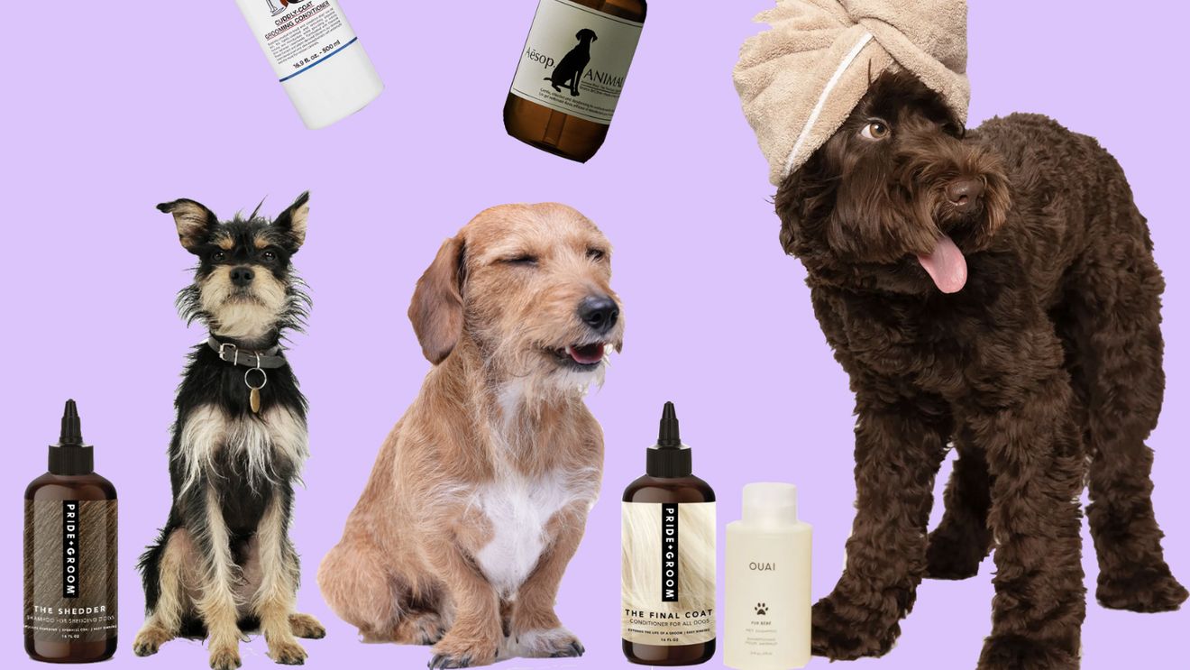 Șampoane 2 in 1 pentru câini și oameni? Brandurile care fac skincare acum fac și șampon sau balsam pentru câini / The Ouai, Kiehl's, Aesop și PRIDE+GROOM