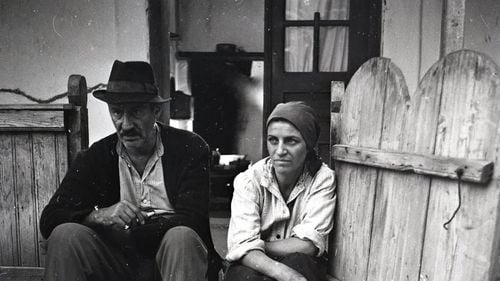 Trilogia Moromeții, în regia lui Stere Gulea, va fi prezentată la Rotterdam International Film Festival 2025