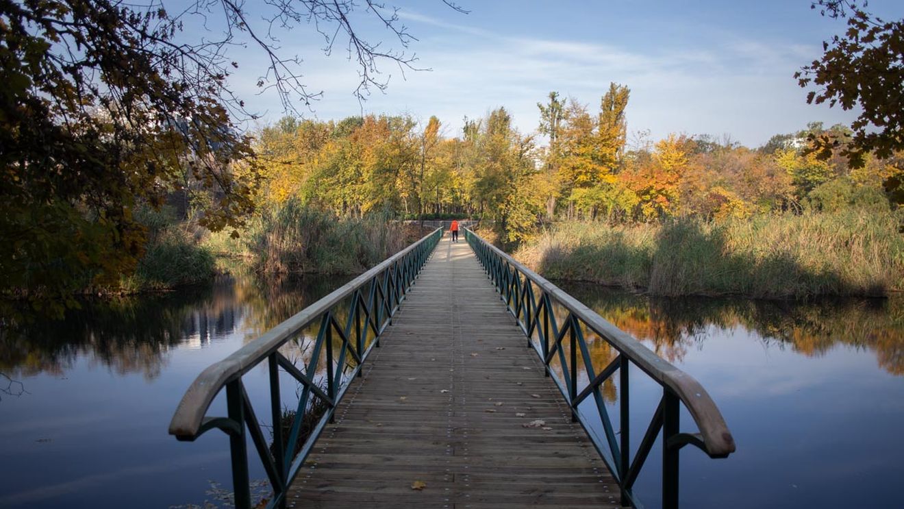 METEO Temperaturi peste cele normale săptămâna viitoare