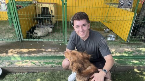 Tânărul din Arad care a lansat o platformă pentru adopții: “Inițial o gândisem ca un Tinder pentru animale. Apoi am deschis ochii!” (VIDEO)