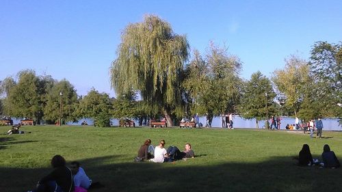 Nicușor Dan: O firmă a primăriei a cerut 370 de milioane de lei pentru înfrumusețarea Parcului Herăstrău, companiile astea cred că milioanele cresc în copaci