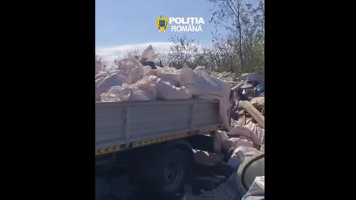 VIDEO | Un tânăr din Arad, amendat cu 30.000 de lei pentru că a abandonat gunoiul într-un loc nepermis
