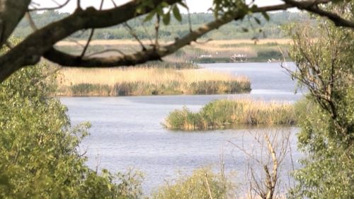 Stare de urgenţă declarată în Rezervaţia Srebarna din Bulgaria din cauza nivelului critic de scăzut al apei