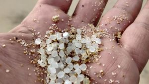 Stare de urgenţă declarată în nordul Spaniei din cauza invaziei de plastic pe plaje. O furtună a aruncat în mare mai multe containere cu plastic