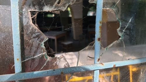 GALERIE FOTO Palatul Copiilor din Constanța, un domeniu de 12 hectare, cu foste baze sportive, căsuțe de cazare și zone de agrement, lăsat de izbeliște de Ministerul Educației de peste 20 de ani