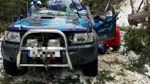 Arbore căzut peste un autoturism în zona localității Tău Bistra din județul Alba / O persoană încarcerată a fost salvată de pompieri