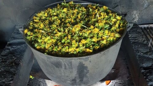 Produs în Munţii Făgăraş: Dulceaţă de liliac şi de păpădie, în serie limitată / Este inițiativa unei fundații distribuie produse direct de la micii producători