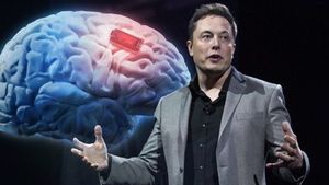Sondaj pe Twitter: Elon Musk ar trebui să vândă 10% din acţiunile Tesla / Musk a spus că va vinde acţiuni Tesla de 6 miliarde de dolari, pe care le va dona Programului Alimentar Mondial al ONU