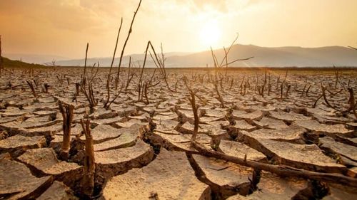 Schimbările climatice, o bombă cu ceas în sectorul agricol: Uniunea Europeană pierde 6,4% din producția sa agricolă anuală, echivalentul a 28 de miliarde de euro, din cauza riscurilor legate de climă