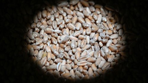 Ungaria nu primește nici un euro de la UE pentru fermierii presupus afectați de importul de cereale din Ucraina / România va primi 10 milioane de euro