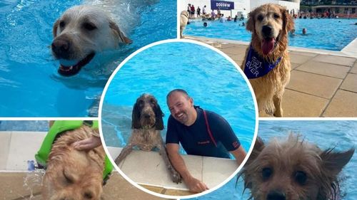 VIDEO | Ștrand pentru câini și stăpâni în septembrie. Mii de participanți la „Dogtember”, unul dintre cele mai mari evenimente caritabile din Marea Britanie