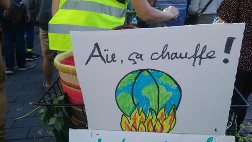Prima primăriță ecologistă a orașului Strasbourg declară "stare de urgență climatică"